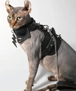 First Layer Cowhide Rivet Leash for Sphynx