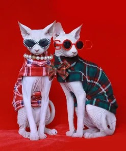 One-arm Christmas Sweater for Cat