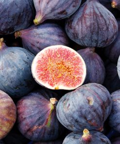 “Pick-And-Learn” – Figs | Saturday, September 9th 10 am